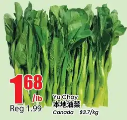 Btrust Supermarket Yu Choy offer