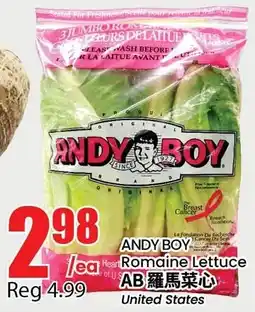Btrust Supermarket Andy boy romdaine lettuce offer