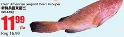 Btrust Supermarket Fresh American Leopard Coral Grouper offer