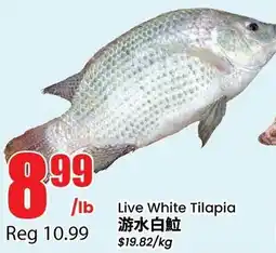 Btrust Supermarket Live White Tilapia offer