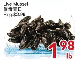 Yours Food Mart Live Mussel offer