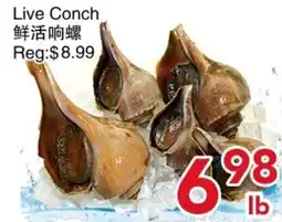 Yours Food Mart Live Conch offer