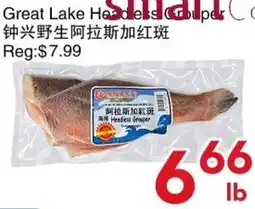 Yours Food Mart Great Lake Headless Grouper offer