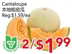 Yours Food Mart Cantaloupe offer
