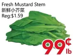 Yours Food Mart Fresh Mustard Stem offer