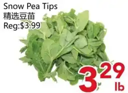 Yours Food Mart Snow Pea Tips offer