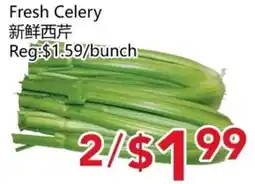 Yours Food Mart Fresh Celery offer