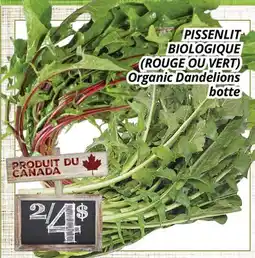 Supermarché PA PISSENLIT BIOLOGIQUE (ROUGE OU VERT) offer
