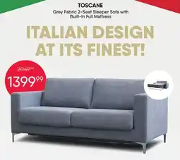 Meubles RD TOSCANE Grey Fabric 2-Seat Sleeper Sofa with Built-In Full Mattress offer