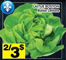 Supermarché PA LAITUE BOSTON | Butter Lettuce offer