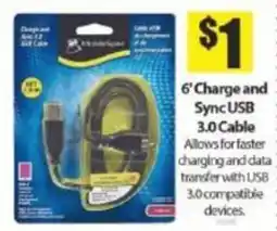 Bianca Amor Excellence 6' Charge and Sync USB 3.0 Cable offer
