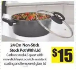 Bianca Amor 24 Cm Non-Stick Stock Pot With Lid offer