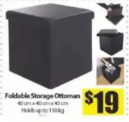 Bianca Amor Foldable Storage Ottoman offer