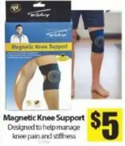 Bianca Amor Magnetic Knee Support offer