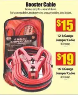 Bianca Amor Booster Cable offer