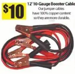 Bianca Amor 12' 10-Gauge Booster Cable offer