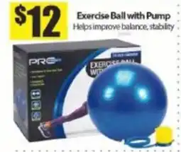 Bianca Amor Pro Exercise Ball with Pump offer