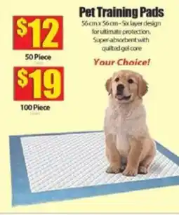Bianca Amor Pet Training Pads offer