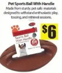 Bianca Amor Buster & Biscuit Sports Ball With Handle offer