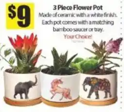 Bianca Amor 3 piece flower pot offer