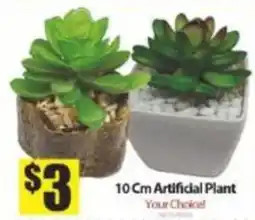 Bianca Amor 10 Cm Artificial Plant offer