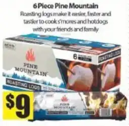 Bianca Amor Pine Mountain roasting logs offer