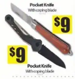 Bianca Amor Pocket Knife With coping blade offer