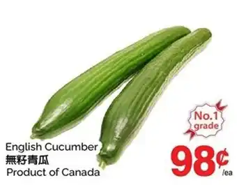 English Cucumber