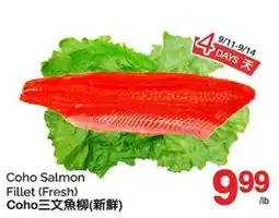 T&T Supermarket Coho Salmon Fillet offer