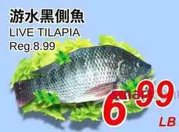 Foody World Live tilapia offer