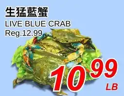 Foody World Live blue crab offer