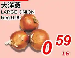 Foody World Large onion offer