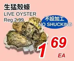 Foody World Live oyster offer