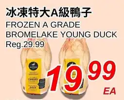 Foody World Bromelake young duck offer
