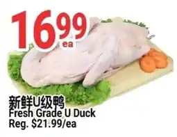SunFood Supermarket Fresh Grade U Duck offer