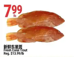 SunFood Supermarket Fresh Coral Trout offer