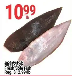 SunFood Supermarket Fresh Sole Fish offer