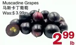 First Choice Supermarket Muscadine Grapes offer