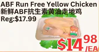 ABF Run Free Yellow Chicken