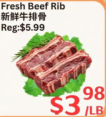Fresh Beef Rib