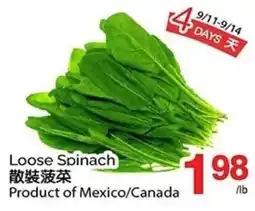 T&T Supermarket Loose Spinach offer
