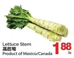 T&T Supermarket Lettuce Stem offer