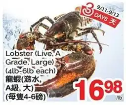 T&T Supermarket Lobster (Live, A Grade, Large) offer
