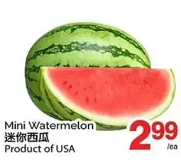 T&T Supermarket Mini Watermelon offer