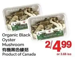 T&T Supermarket Organic Black Oyster Mushroom offer