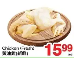 T&T Supermarket Chicken (Fresh) offer