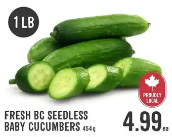 Fresh bc seedless baby cucumbers