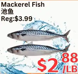 Farm Fresh Supermarket Mackerel Fish offer
