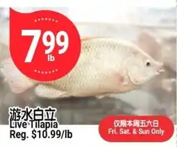 SunFood Supermarket Live Tilapia offer