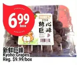 SunFood Supermarket Tang's Kyoho Grapes offer